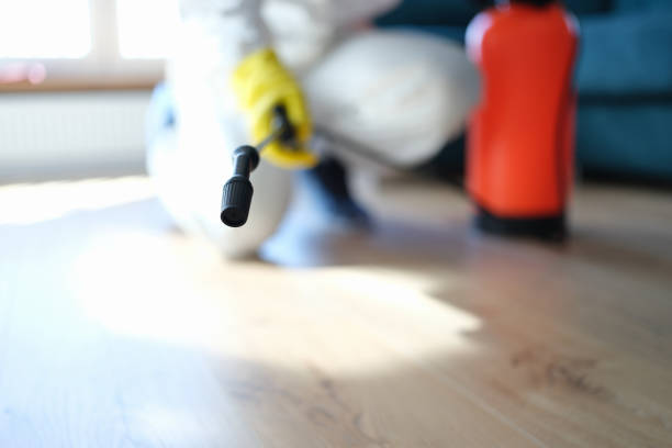 Best Asbestos and Lead Testing During Mold Inspection  in Cloverdale, CA